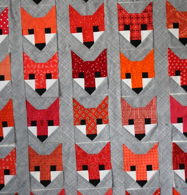Lots of foxes